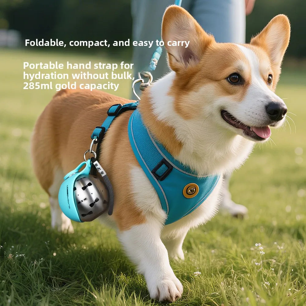 Outdoor Portable Foldable Pet Water Bottle for Cats Dogs OEM/ODM-1