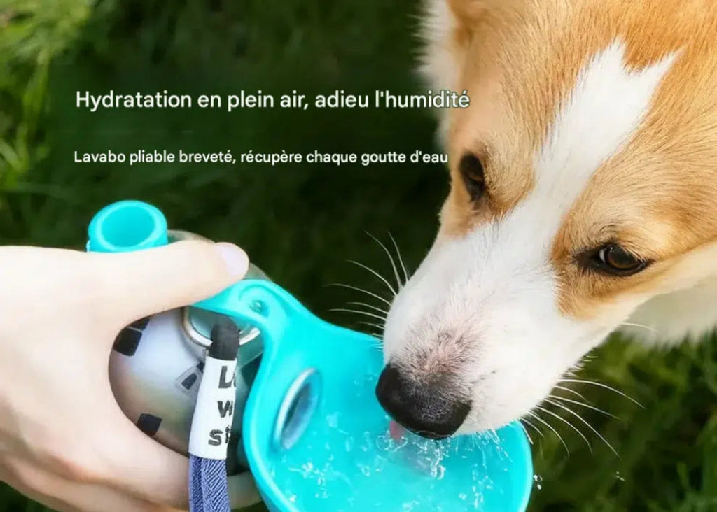 La Gourde CaniSphère